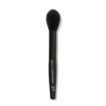 84041_HighlighingBrush_v1wA_result