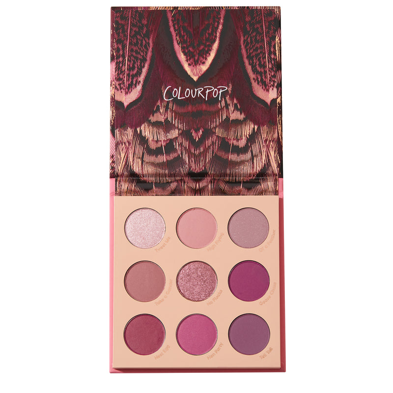 Colourpop Fine Feathered Eyeshadow Palette – 9.00g