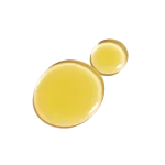 Get-Even-Texture_result