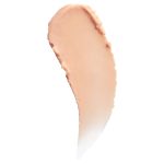Pore Filler Primer 2