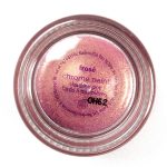 tarte_frose_003_product