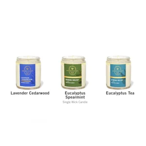 Bath & Body Works Single Wick Candle - Holiday Mason - 198g